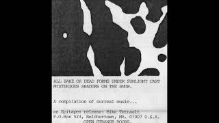 Das Synthetische Mischgewebe - Do As Imaged, When In Relativity Others Do Similar