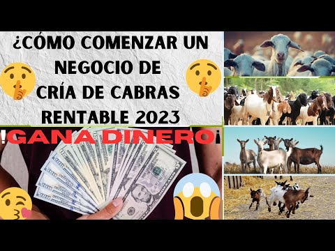 , title : '🤑🤑Cómo Comenzar Un Negocio De Cría de Cabras Rentable 2023🤑🤑5 Pasos Para Ganar Dinero'