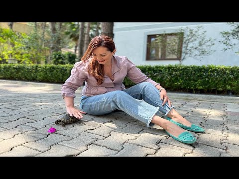 Vitrina e librit/ Shtatë vëllime në shtatë dekada- Ismail Kadare - 25 Qeshor 2023