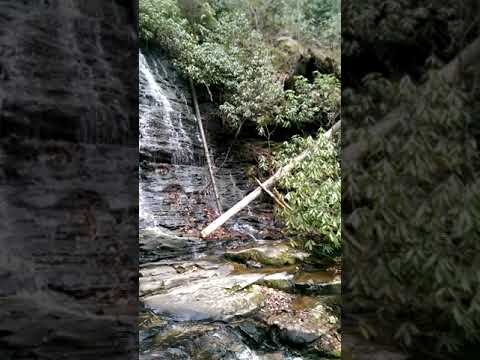 Spoonauger Falls accessed from Burrells Ford