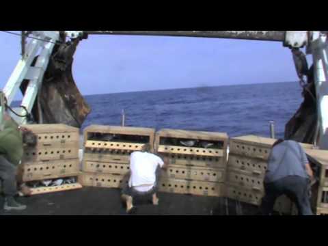 Gran Final Derby Mallorca 2012