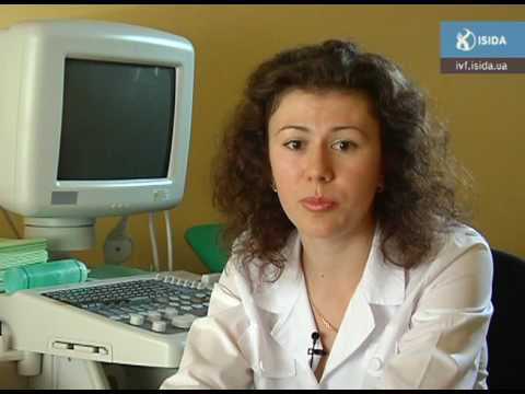 comment augmenter oestradiol