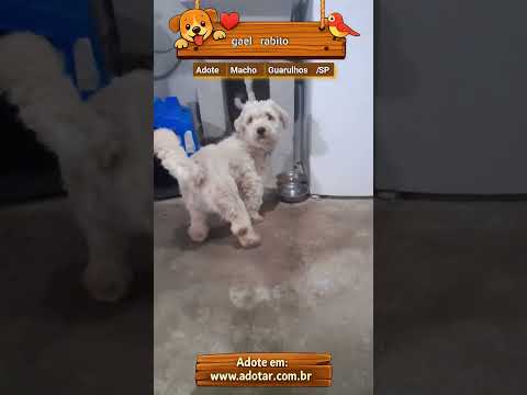 Vídeo de gael rabito