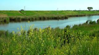 Отдых на пролетарском водохранилище ростовская область