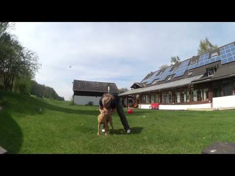 Making of Cairo Steps 2  Part Valenteano in "the importance of being" there