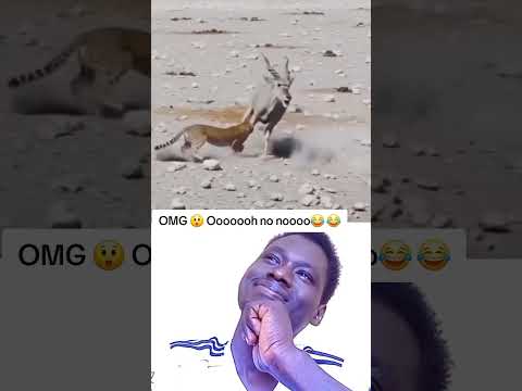 OMG 😲 Ooooooh no noooo.........😳 😂😂#FunnyTrends #fyp #viral #Just #You