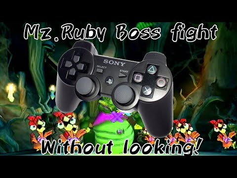 Defeating Mz.Ruby in Sly without looking