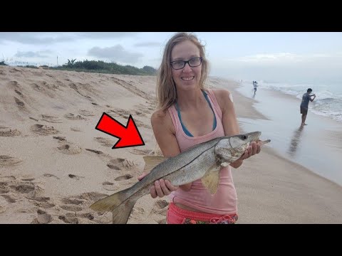 Beach fishing for snook!