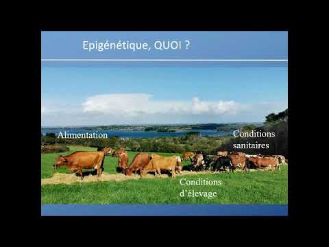 , title : 'Bovins lait - Atelier 1 + CONCLUSION colloque Sélection animale des ruminants'