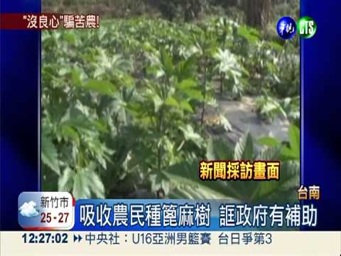 假綠能真吸金 詐騙老農兩千萬