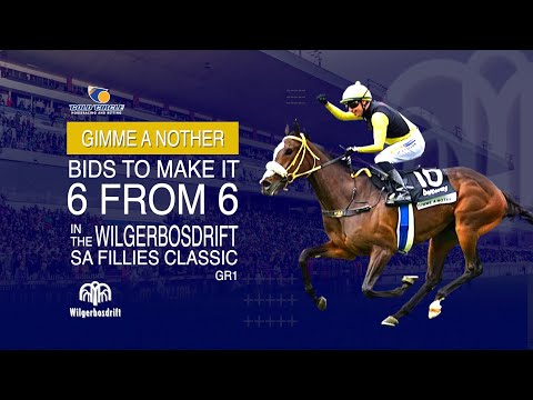 GIMME A NOTHER PREVIEW WILGERBOSDRIFT SA FILLIES CLASSIC GR1
