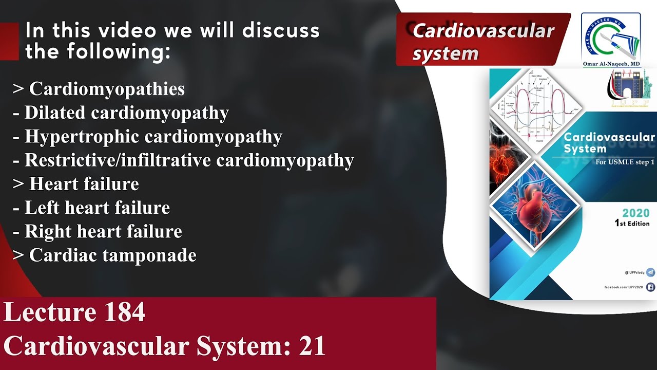 Cardiomyopathies | Heart failure | Cardiac tamponade