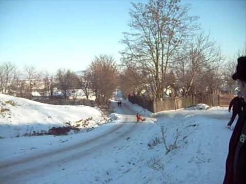 La sanius in CINDESTI NT