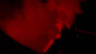 Melvins - Tipping the Lion / live in Budapest