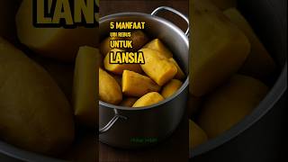 Download lagu 5 Manfaat Ubi Rebus Untuk Lansia mp3