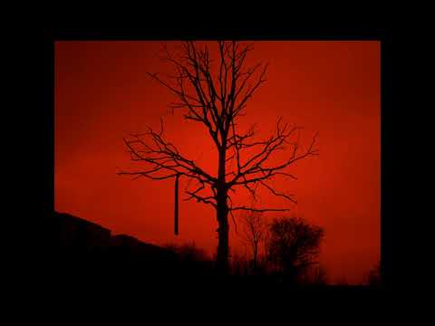 Stary Pakistanec - Netreba mi veľa (The Prodigy REMIX)