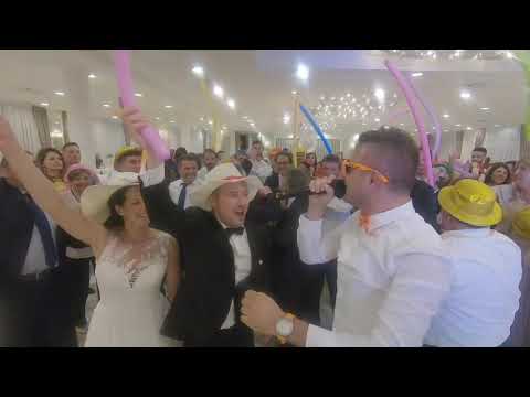 Animazione Matrimoni Puglia Foggia - Matrimonio Travolgente - Balli, Divertimento, Musica Matrimonio