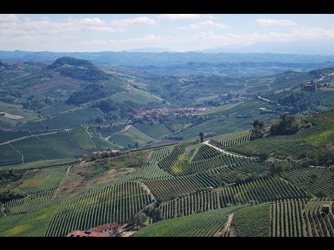 JAMESSUCKLING.COM - Barolo 2010 - Best Ever?
