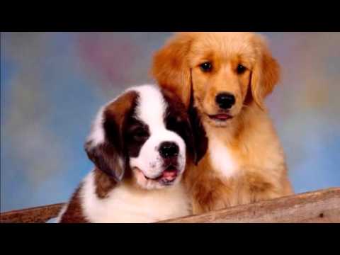 "Goodnight, Sweetheart", - RAY CONNIFF and THE SINGERS -