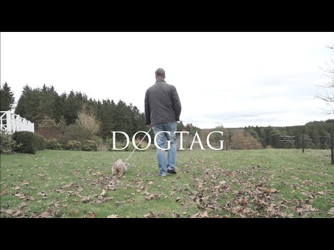 DOGTAG (Danish Short Film)