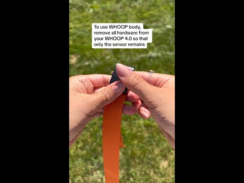 How to wear your WHOOP