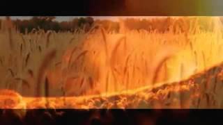 The Low Anthem To the ghosts who write history books