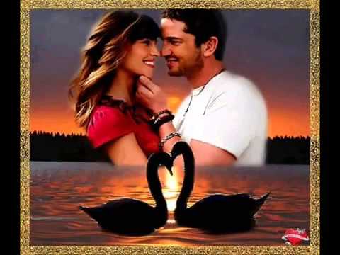 Bine-ai venit dragostea mea ! - Daniela Gyorfi & Valencio -