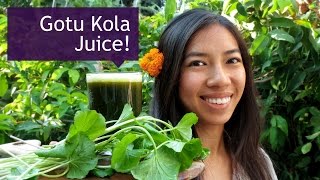 Download lagu Cara Membuat Minuman Gotu Kola (Pennywort) mp3 Download lagu Cara Membuat Minuman Gotu Kola (Pennywort) mp3