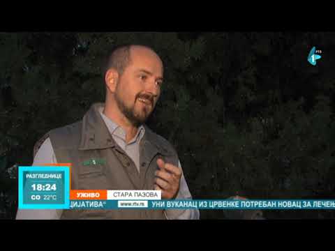 Najezda "smrdibuba", prete usevima