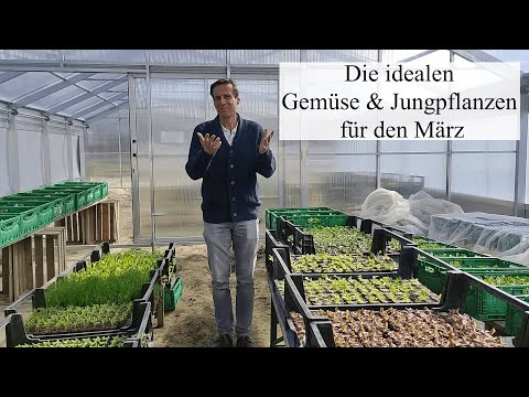 , title : 'Frühlingserwachen im Gemüsebeet 💚 10+ Gemüsearten für den März & eine reiche Ernte zum Sommerbeginn'