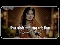 Dil Koni Lage Janu Slowed Reverb Rajasthani Lofi Song Rajasthani Song Marwadi Song