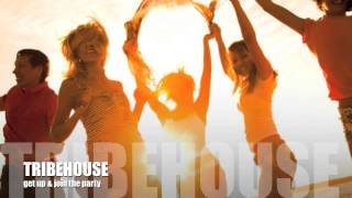 tribehouse - get up & join the party
