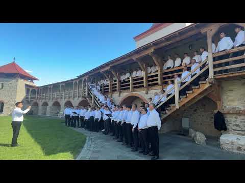 Suntem cu toți la luptă - Corul bărbătesc Bucovina