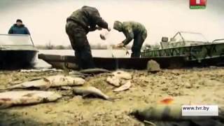 Terra incognita  Беларусь неизвестная  Зона отчуждения