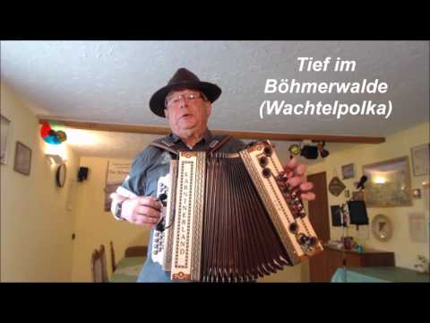 Tief im Böhmerwalde (Wachtelpolka)