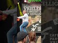Lytse Hille - 24 Billen