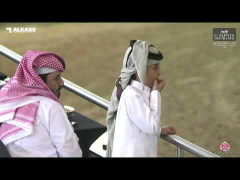N 113 SHEHAB AL FARRES   Qatar Peninsula AHS for Individual Owners 2023   Colts 2 Years Old Class 5