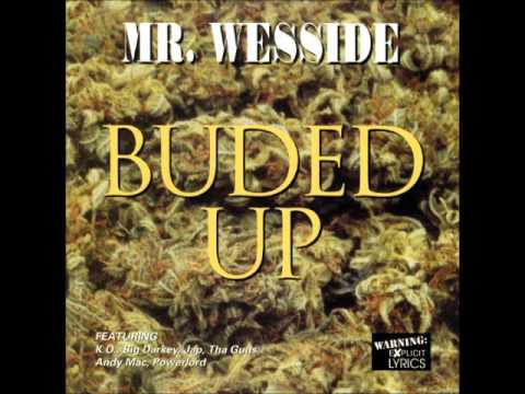 Mr. Wesside ft. Big Darkey - Still Dyin'