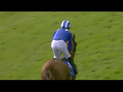 Shadwell Arabian Stallions Maiden Stakes