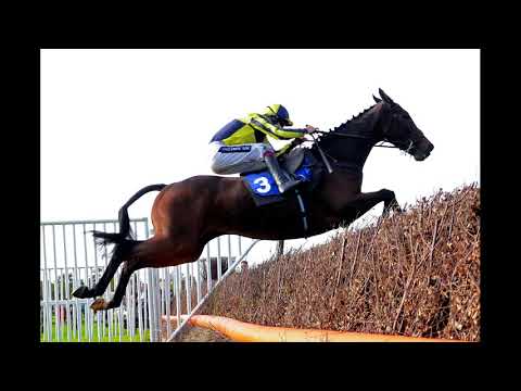 Sodexo Gold Cup Handicap Chase...WINNER!!! Go Conquer BOG 9/1