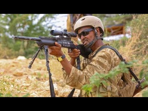 Hees cusub |  ciidanka PSF PUNTLAND