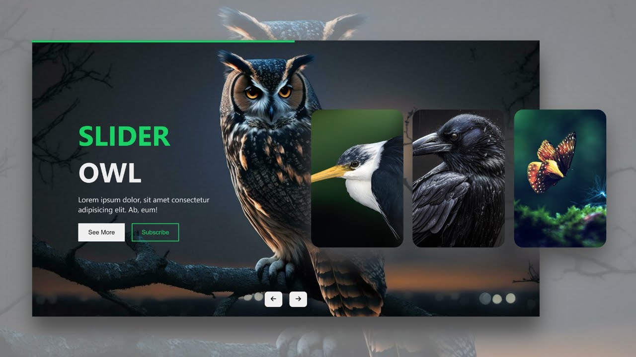 Responsive and Automatic Changeable Animated Image Slider using HTML, CSS & JavaScript | Carousel