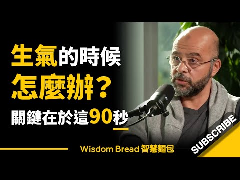 生氣的時候怎麼辦？ ► 關於就在於這90秒...- Mo Gawdat 莫・加多（中英字幕） (生氣的時候怎麼辦？ ► 關於就在於這90秒... - Mo Gawdat 莫・加多（中英字幕）)
