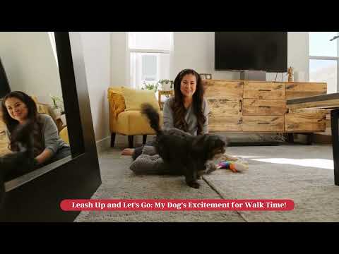 Furry Genius: Unlocking Your Dog's Hidden Potential Through Training! #shortsvideo