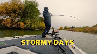PLAYING in the RAIN - WINTER Bass Fishing the California Delta