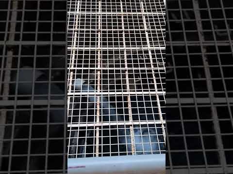 Rain Water Harvesting at Luxuria