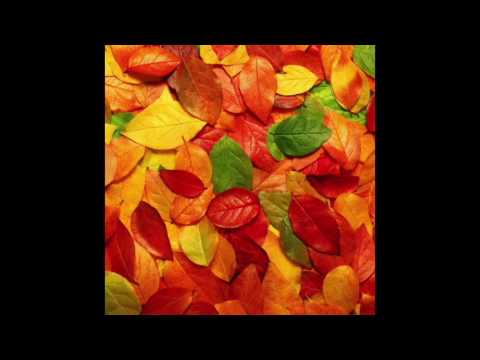 Relatives - Nectarine