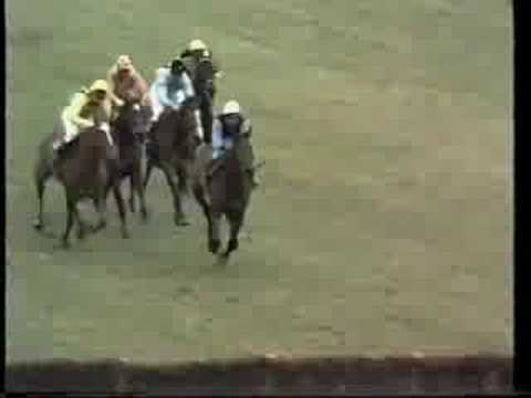 Persian War 1970 Champion Hurdle
