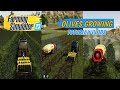 Farming simulator 23 New Crop olives growing Toturial/guide Fs 23 Mobile