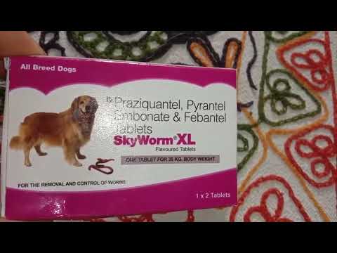 Veko ktd xl yum tablet